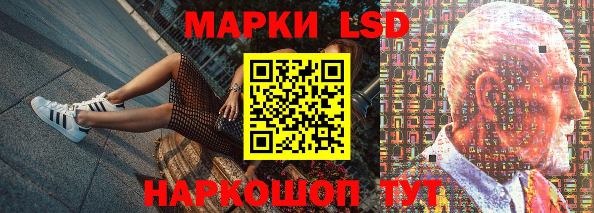 A PVP Мытищи